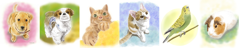 PC用メインイメージ