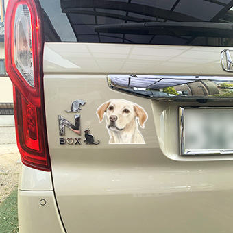 マグネットステッカー1